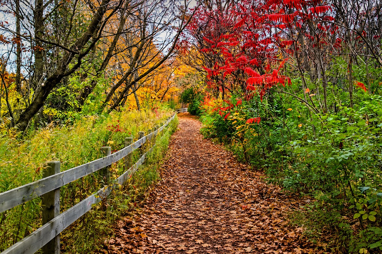 Bronte Creek