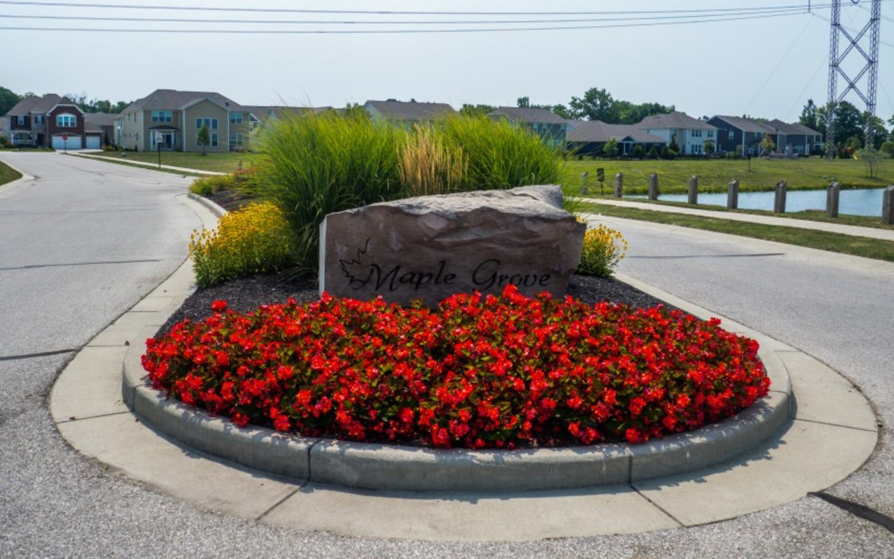 Maple Grove