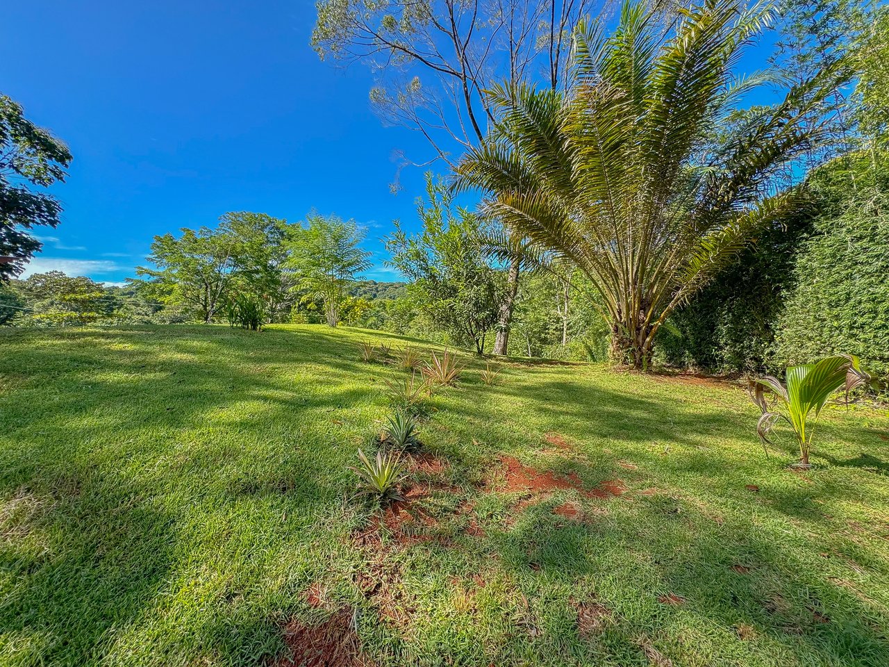 Jungle River Retreat with Airbnb & Build Space in Ojochal