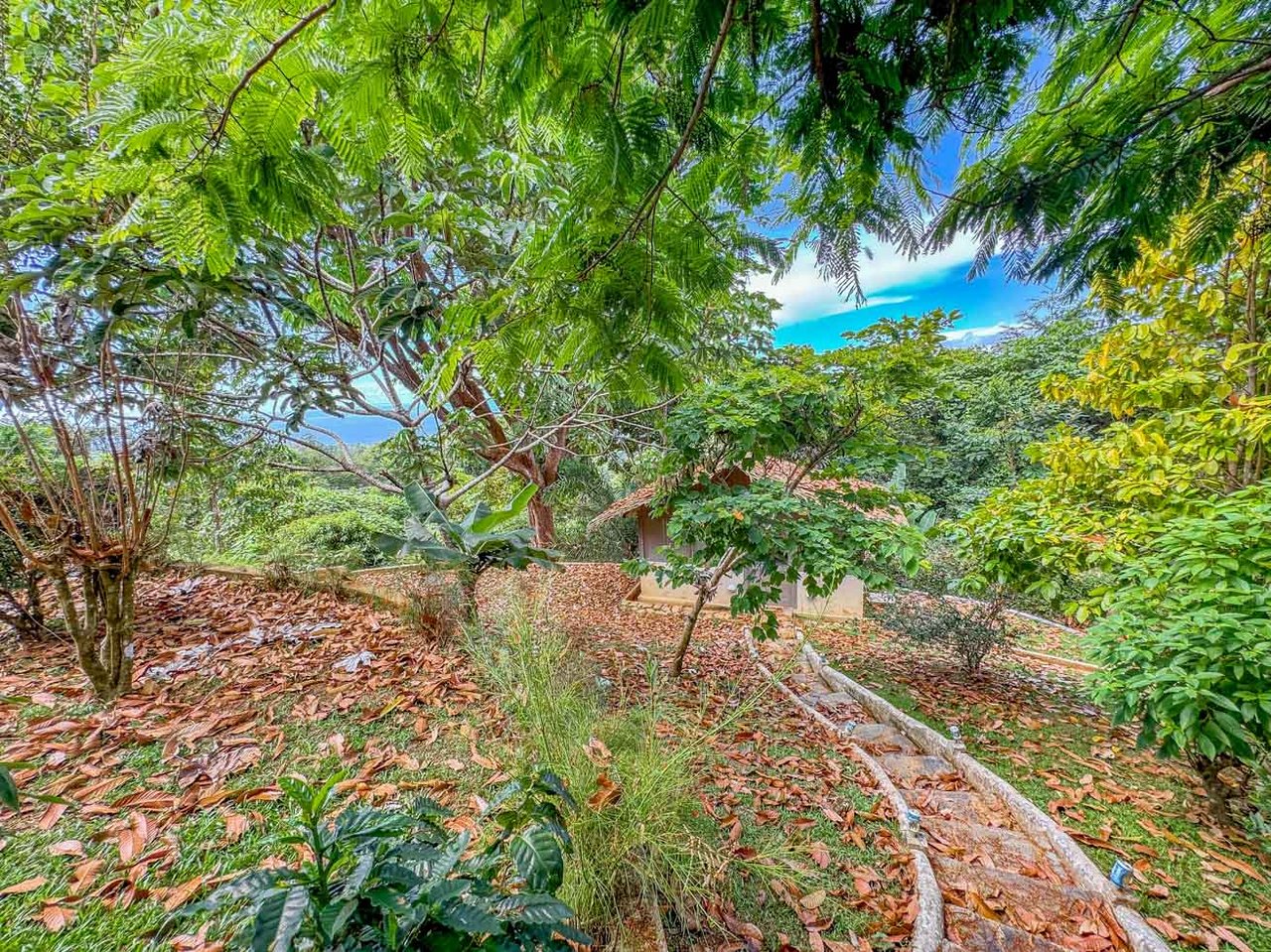 Ocean, Jungle & Mountain View Home in Ojochal | Protected Jungle Setting