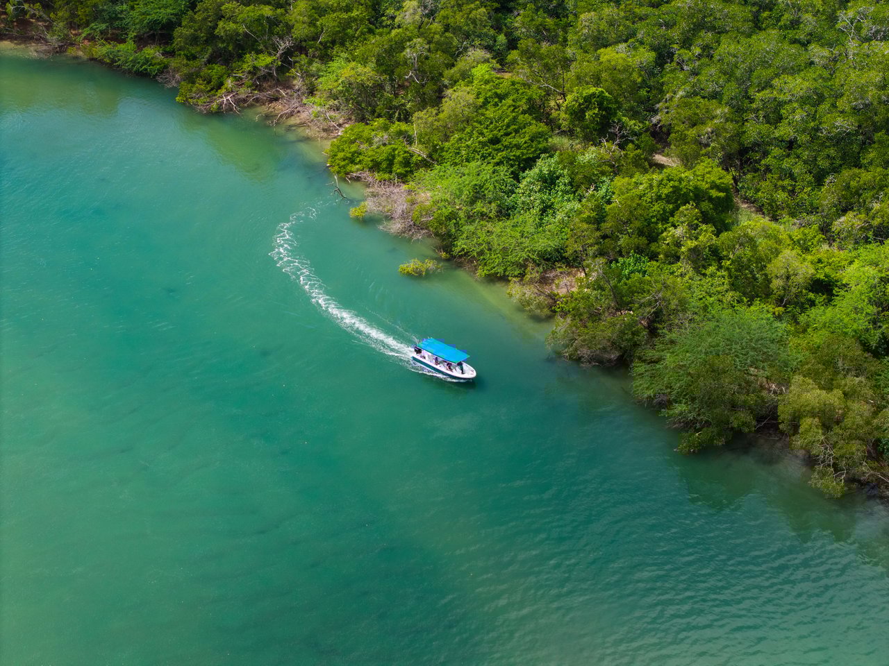 Prime Flat Lot in Senderos | Ready to Build | Premium Phase 1 Location