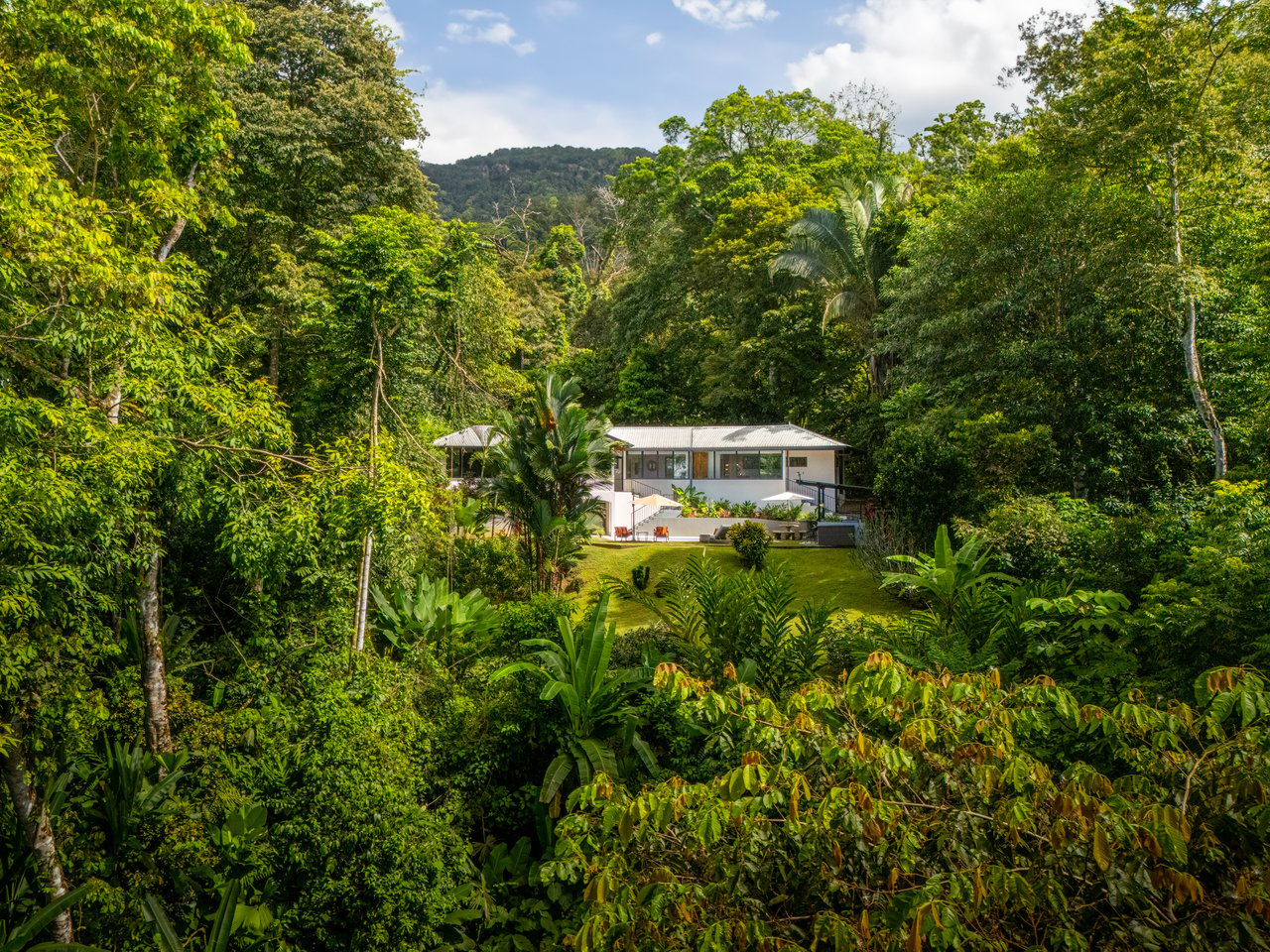 Modern Jungle Paradise, Bordered by River on 2.14 acres