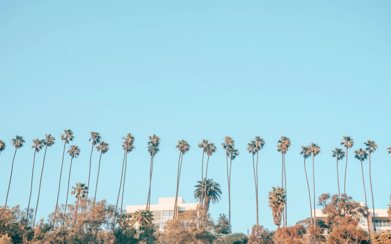 11 Things Your Real Estate Agent Doesn't Tell You (Seller Edition)