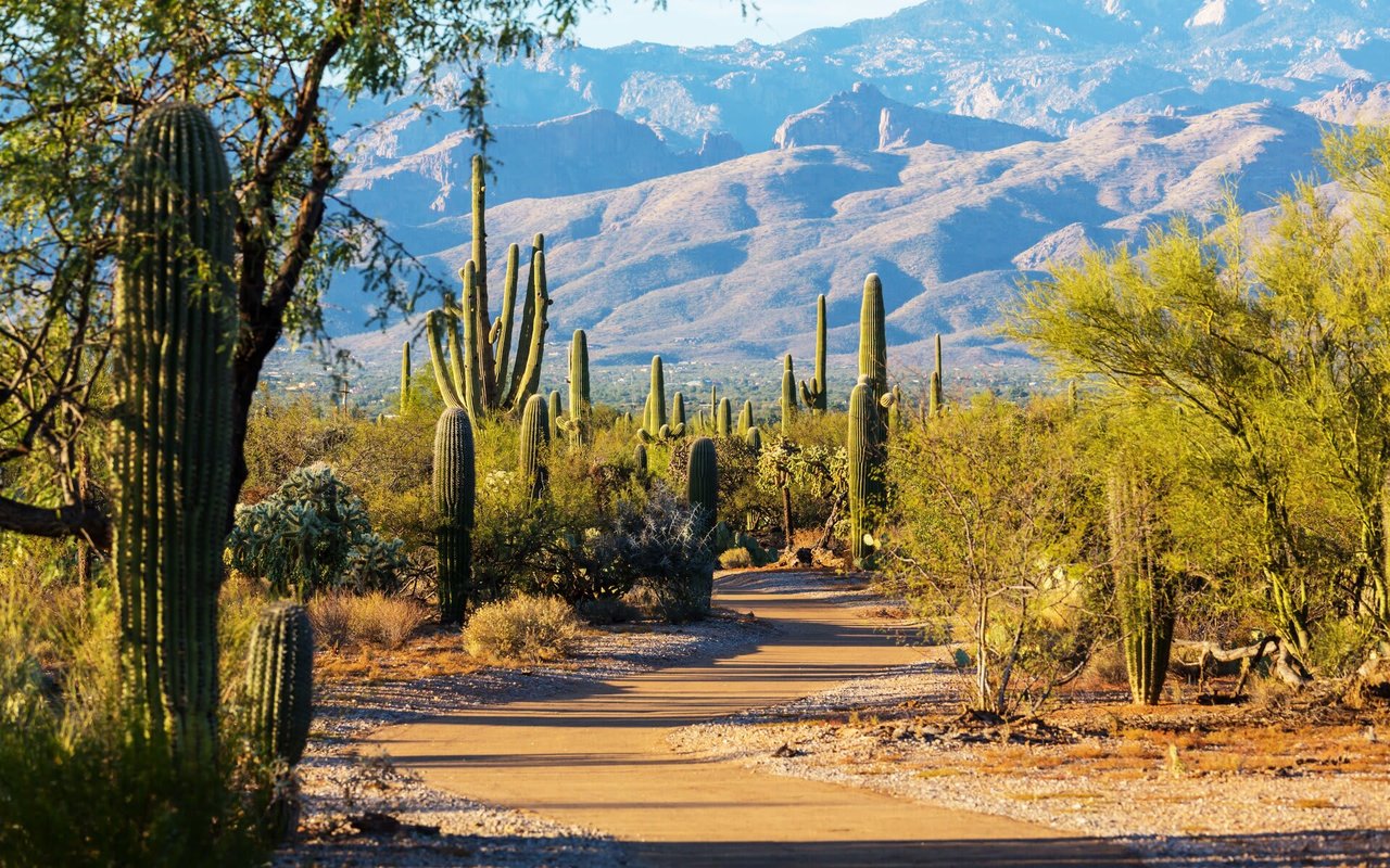 Living in Glendale, Arizona