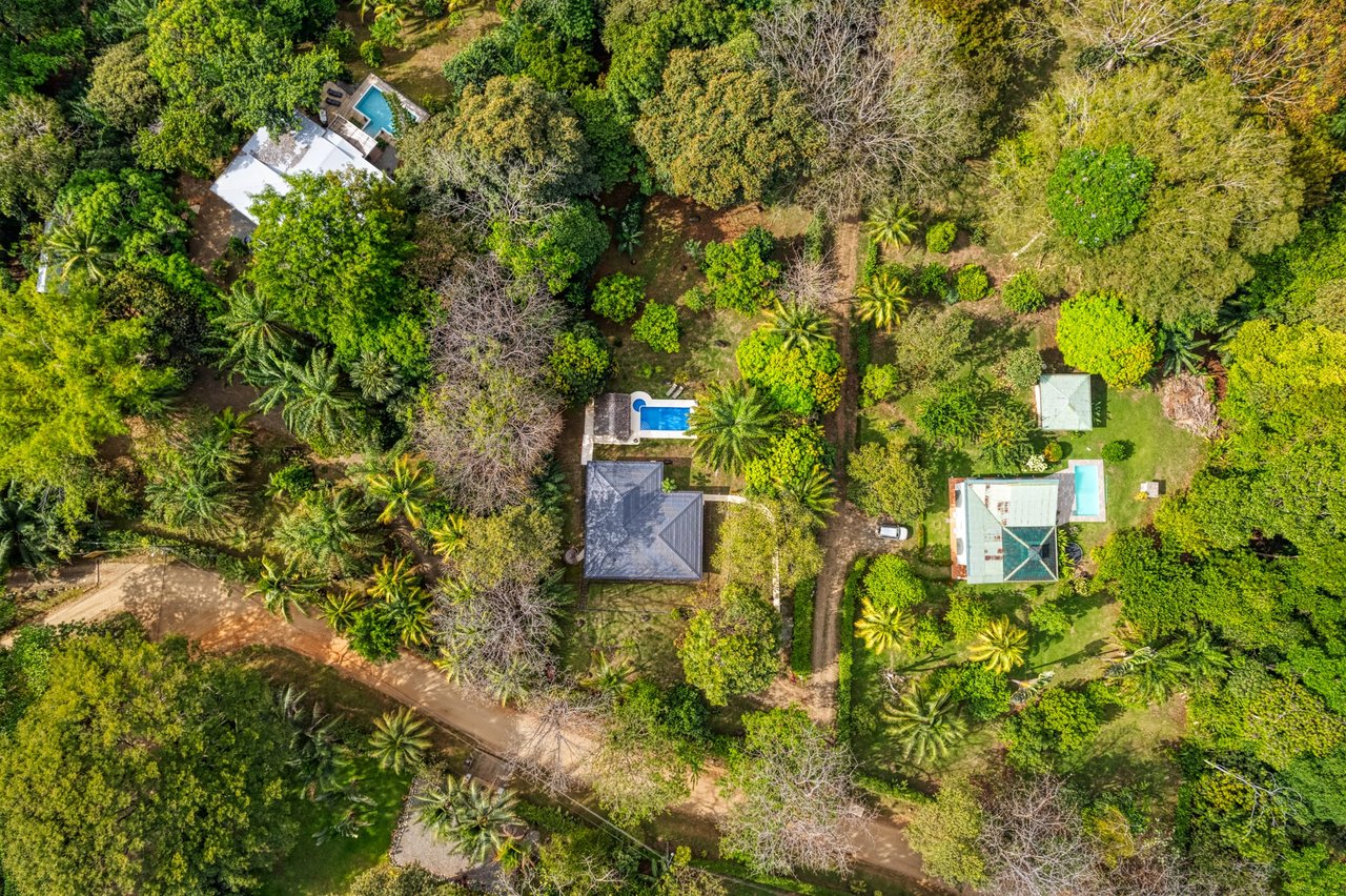 Tranquil Home with Fruit Trees and Space for Several Casitas