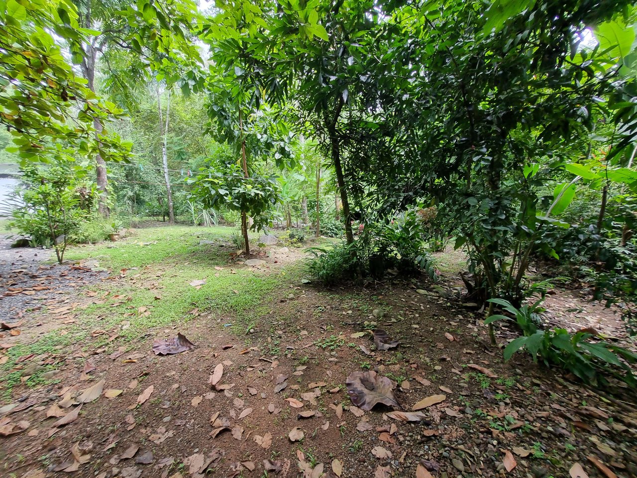 Riverfront Dream Property