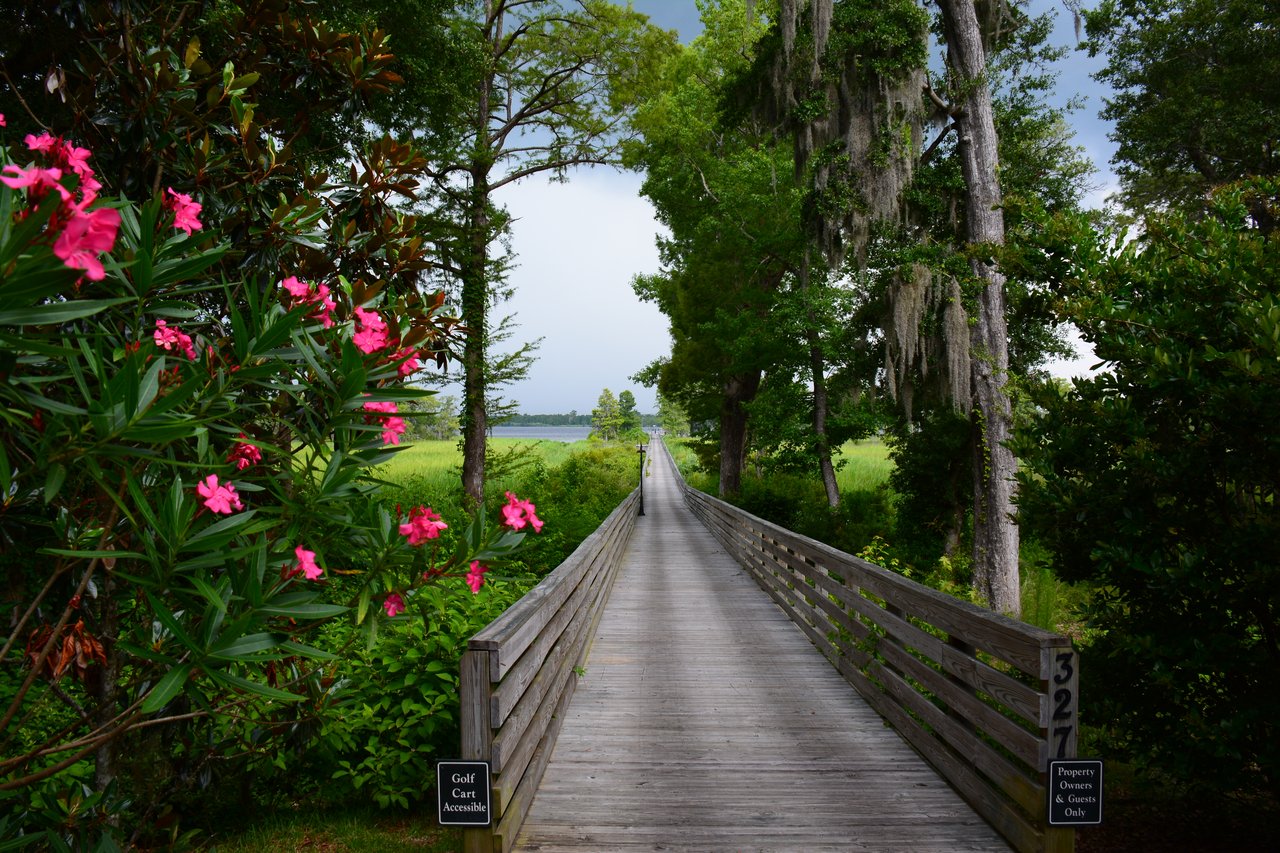 Allston River Bluffs