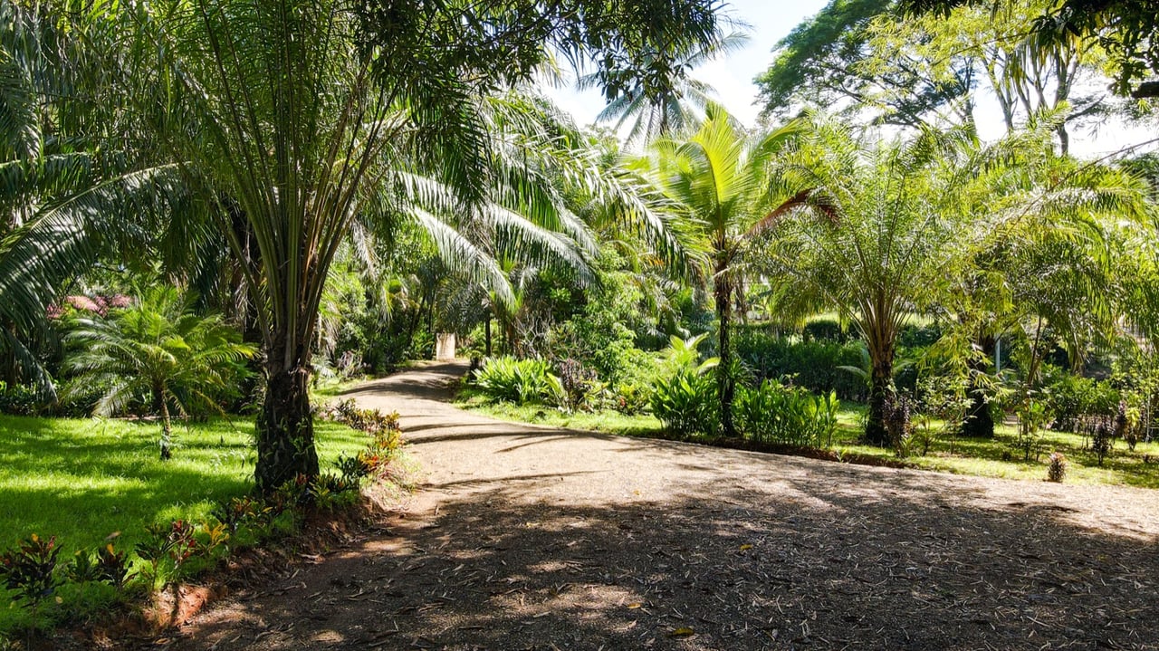 Five Star Private Rainforest Estate on Acreage with Creek