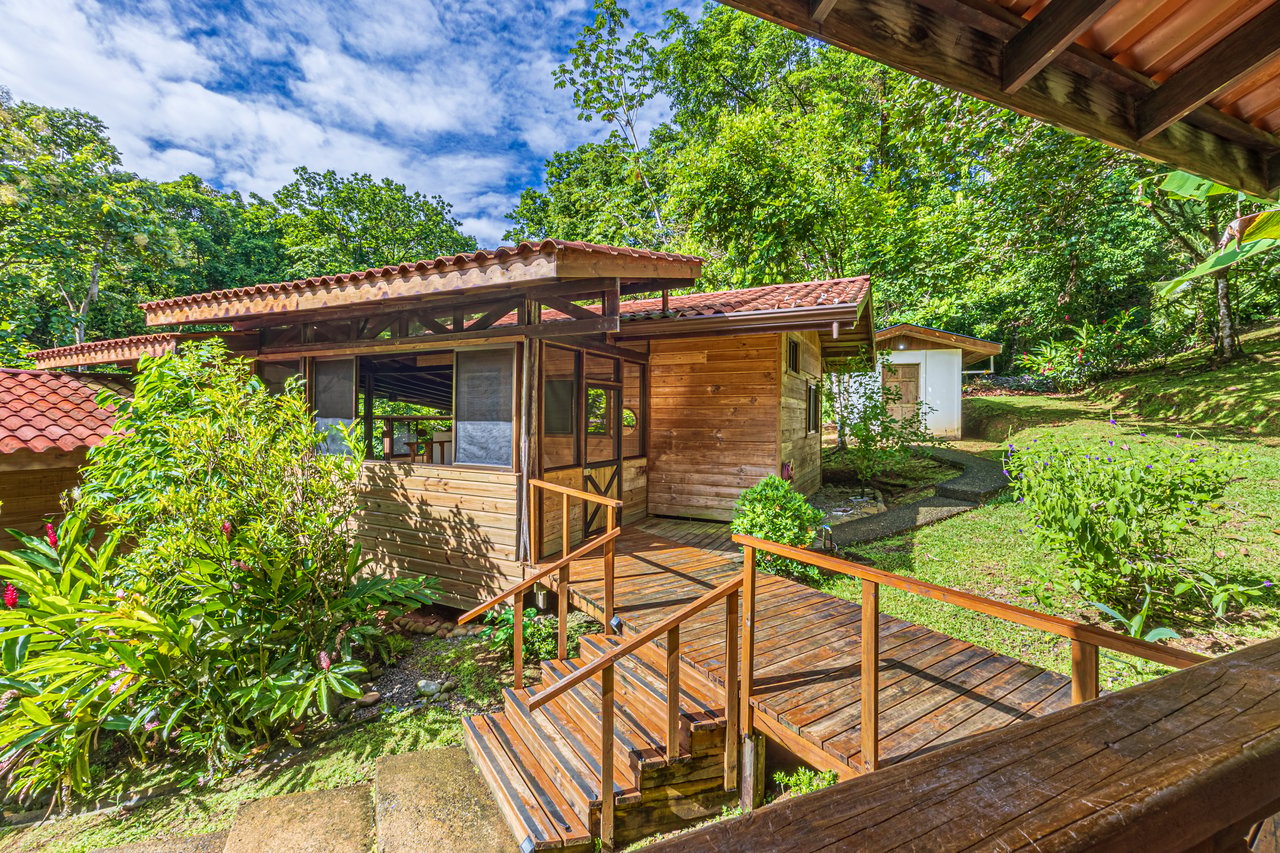 A Jungle House Built of Wood & River Dreams