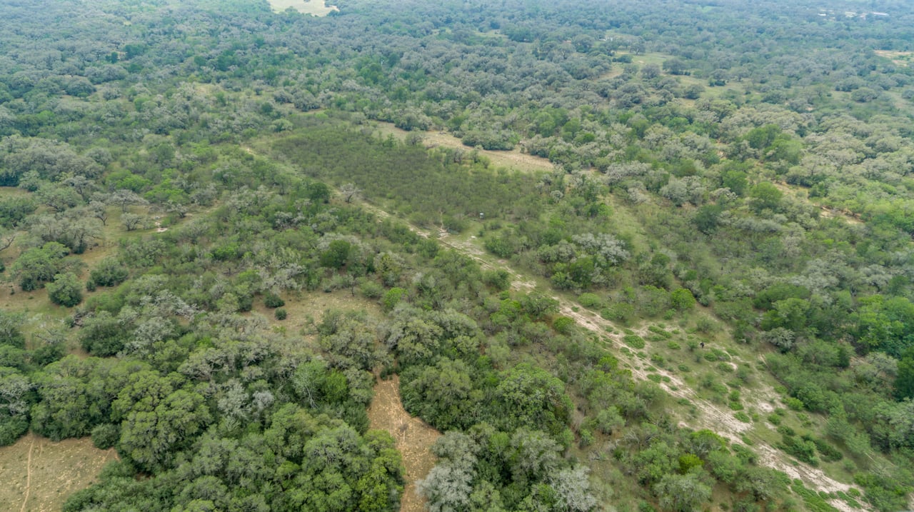 Five Mile Creek Reserve | 252.73± Acres-High Fence | DeWitt County, TX