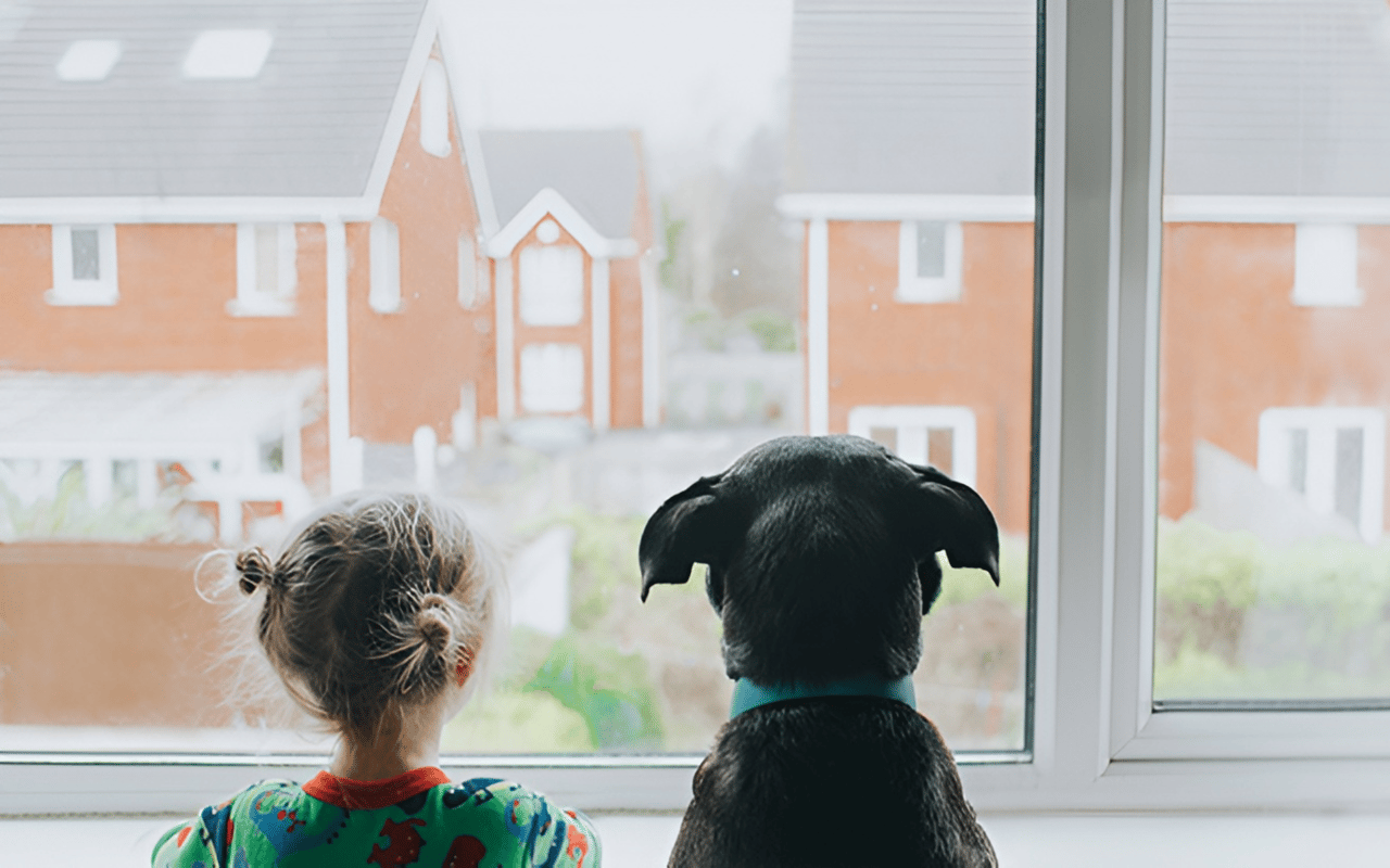 Are There Going to Be More Homes to Buy This Year?