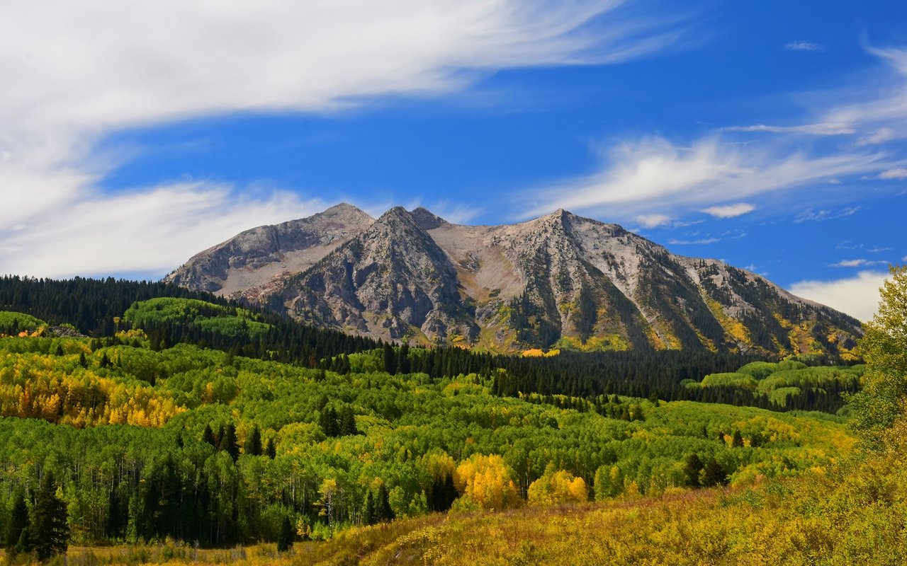 Mountain road winding through golden autumn aspens toward rugged peaks.