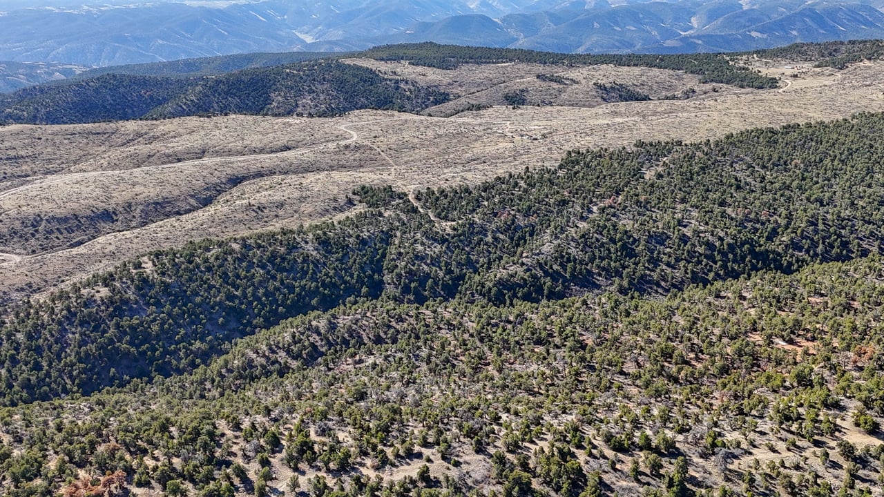 1 W Elk Meadows
