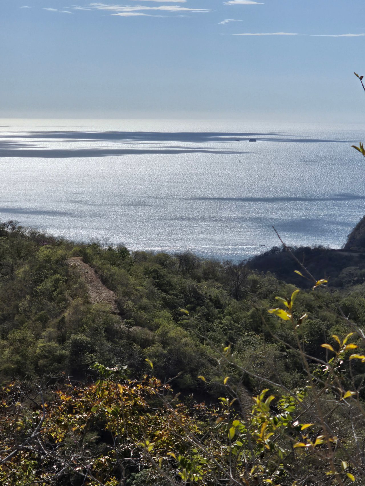 Vista Miramar Estate Lot, Pacific Heights