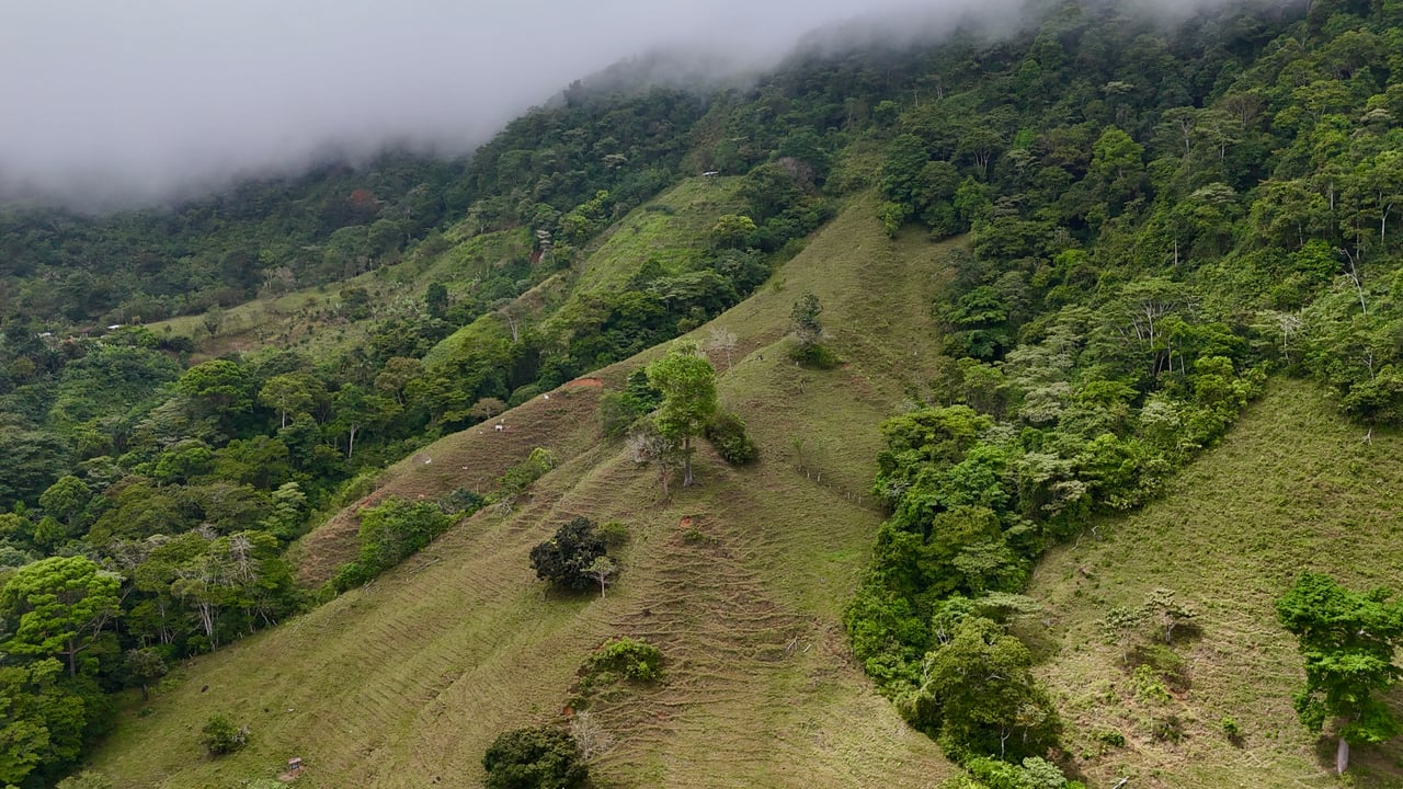 Gorgeous Land in San Luis Morete - Uvita - Over 17 Acres