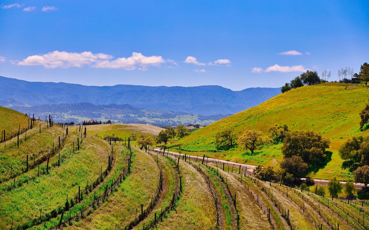 Santa Ynez