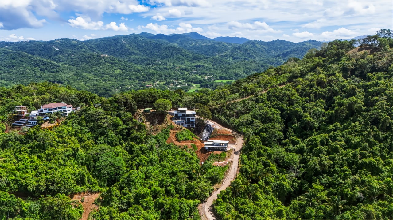 Aerial view of homes and a winding road surrounded by tropical forest, with green mountains in the distance.