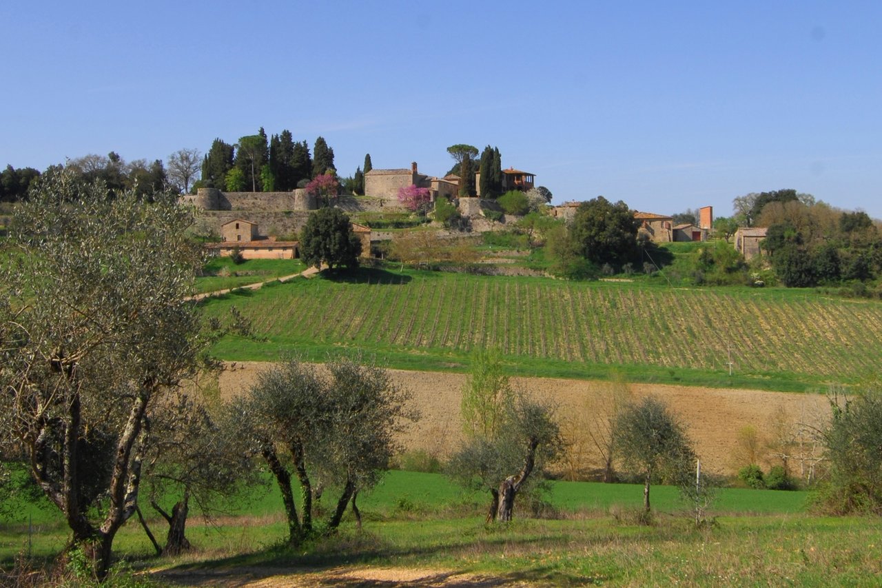 Wine Estate in Sienna