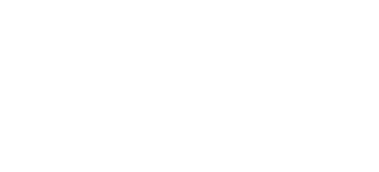 Light Logo