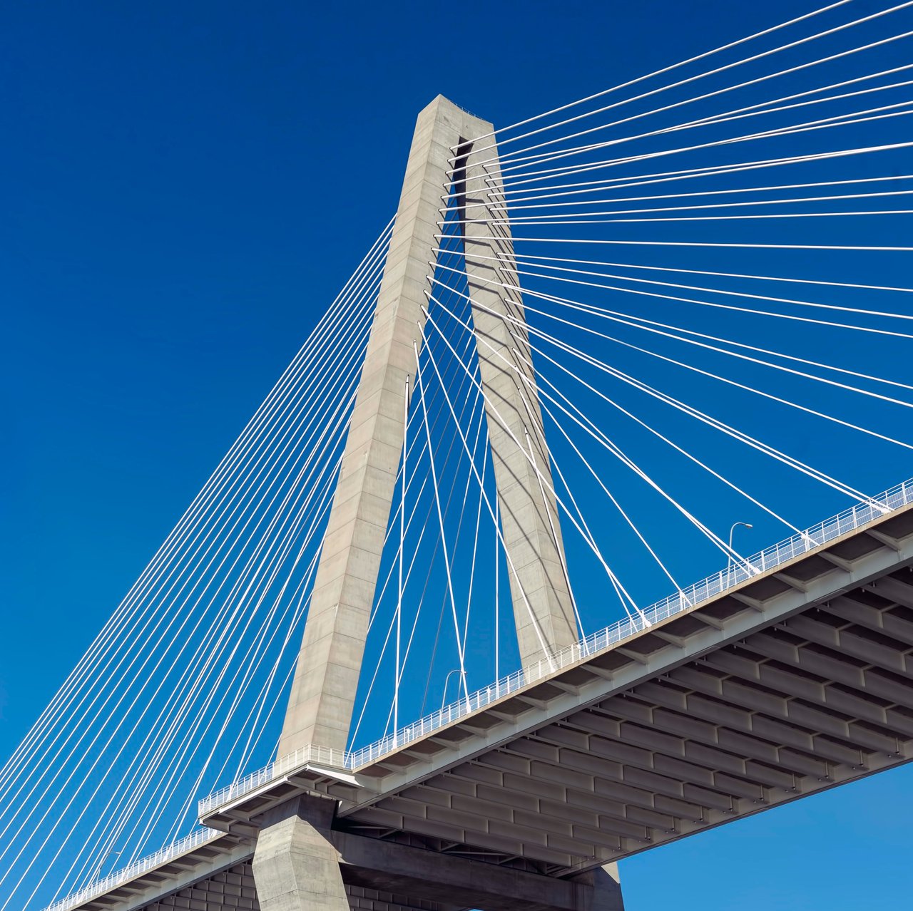 The Annual Cooper River Bridge Run in Charleston, SC