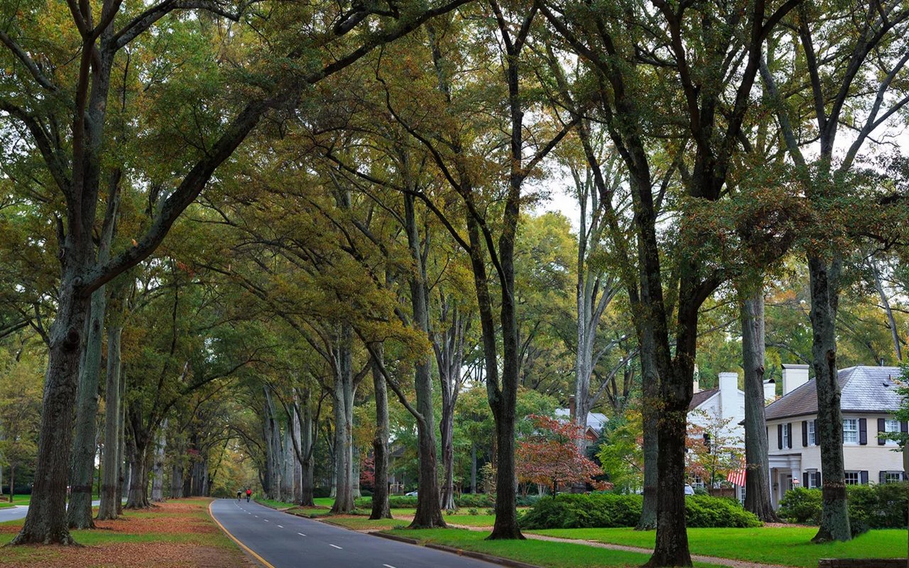 Neighborhood Guide: Myers Park