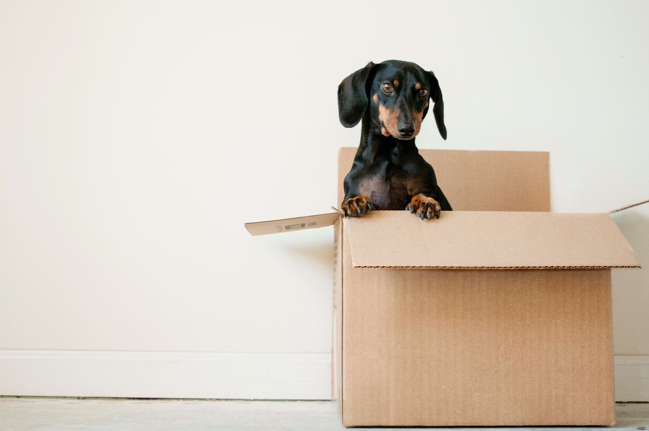 Tips for a Successful Move