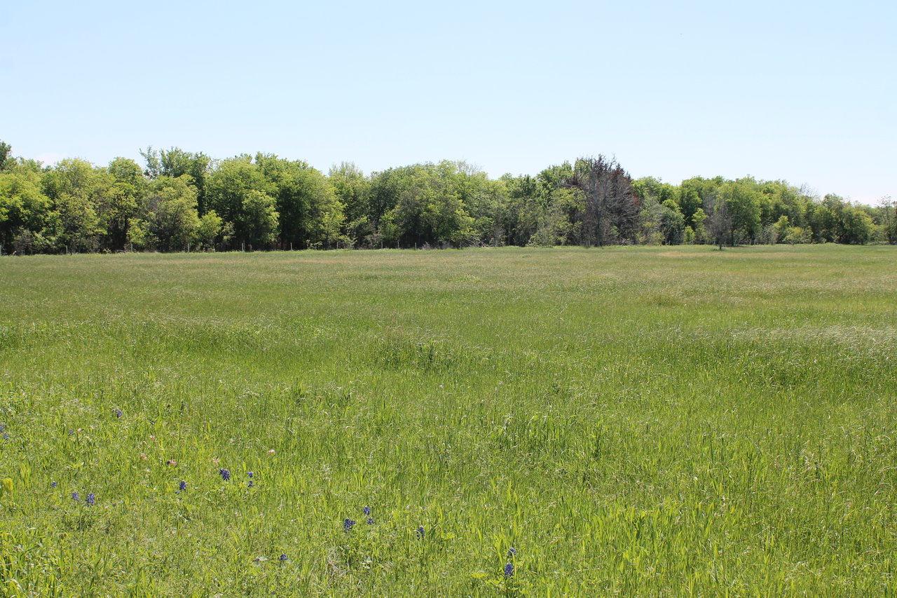 TBD Steinbeck Bend Dr