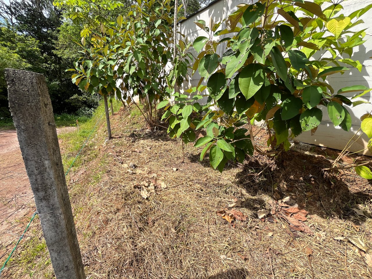 Affordable Uvita Lot UNDER $200-per-sqm - Perfect for Your Dream Home or Airbnb Investment