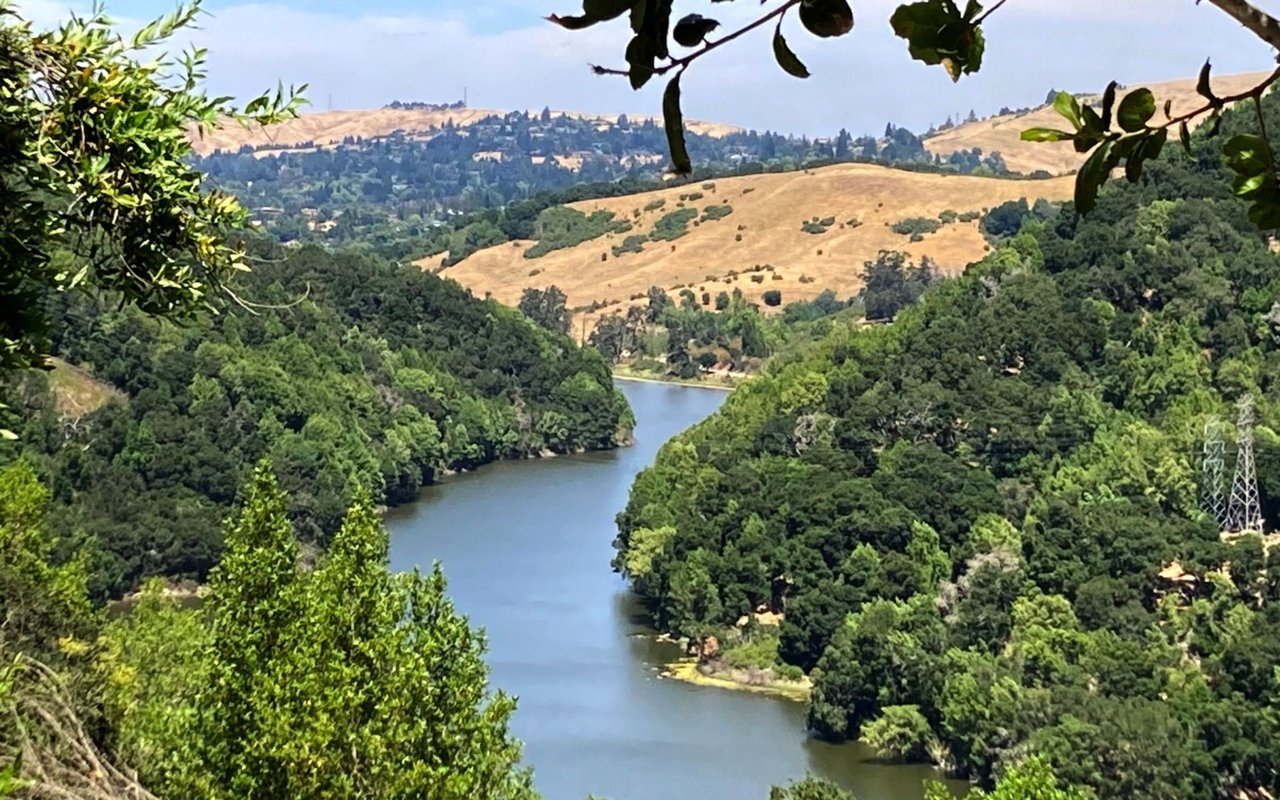 Moraga