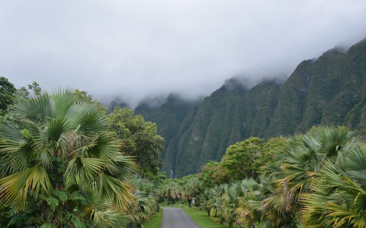 Cloud-wrapped green mountains rise above a narrow road bordered by tropical palms.