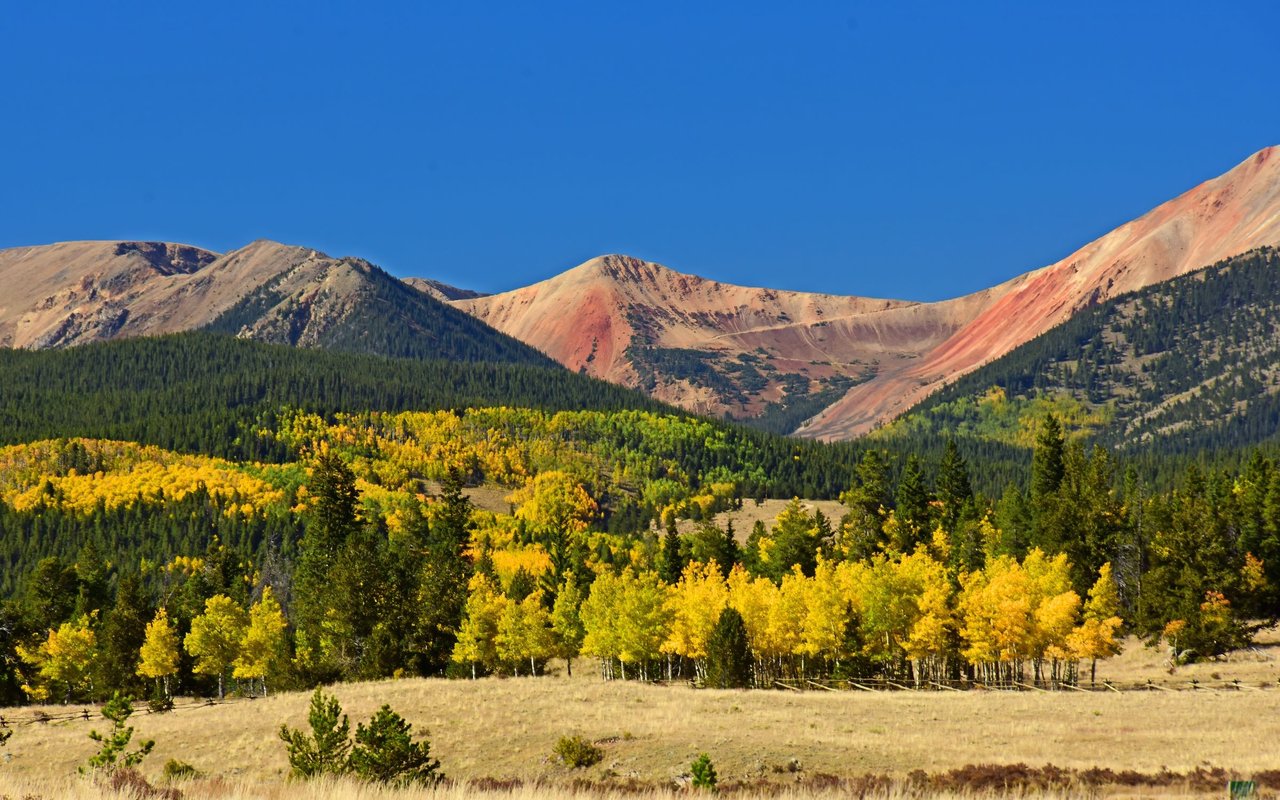 Park County