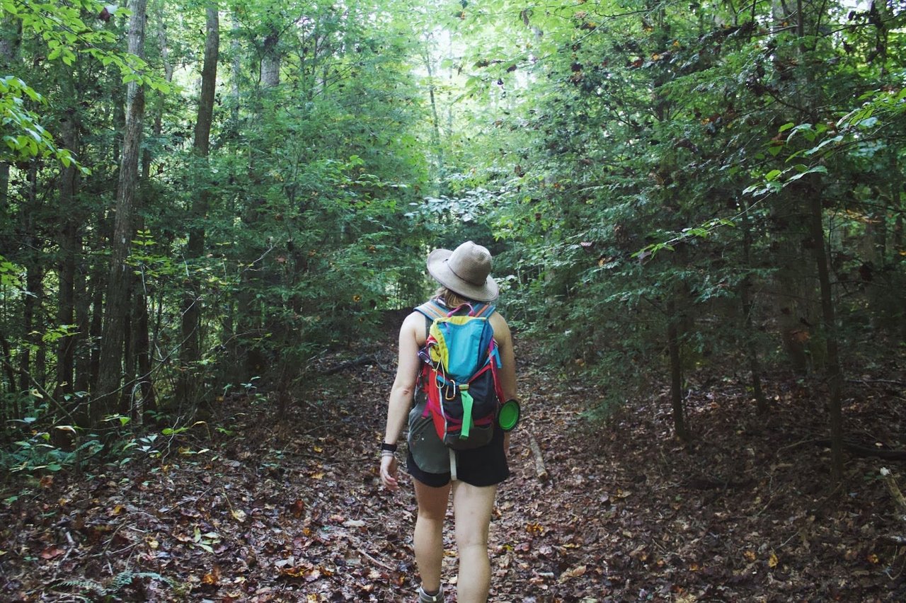 What Are the Best Bergen County Hiking Trails for Your Skill Level?