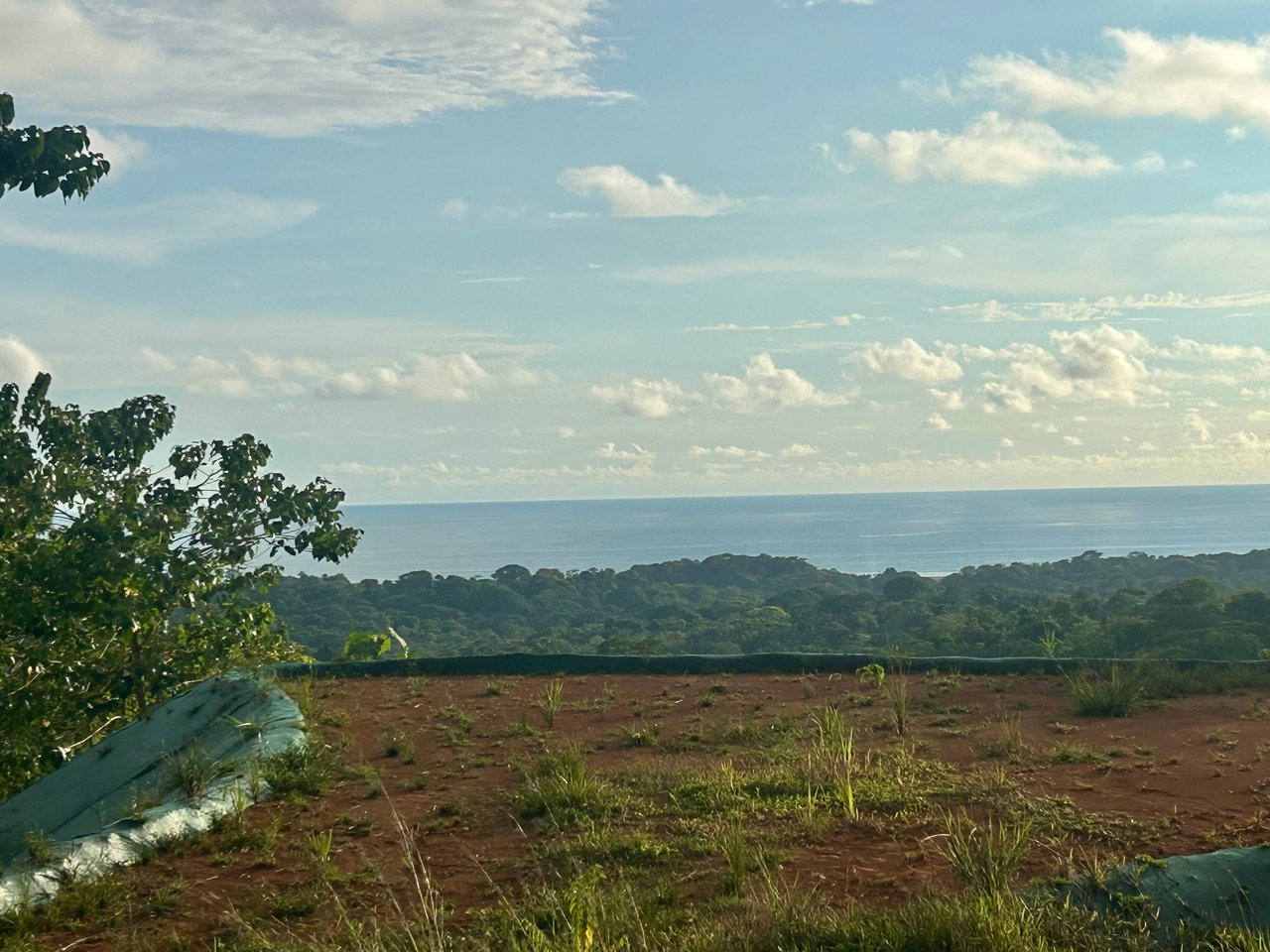 2.77-Acre Ocean View Lot in Phase 11 Ojochal – Ready to Build!
