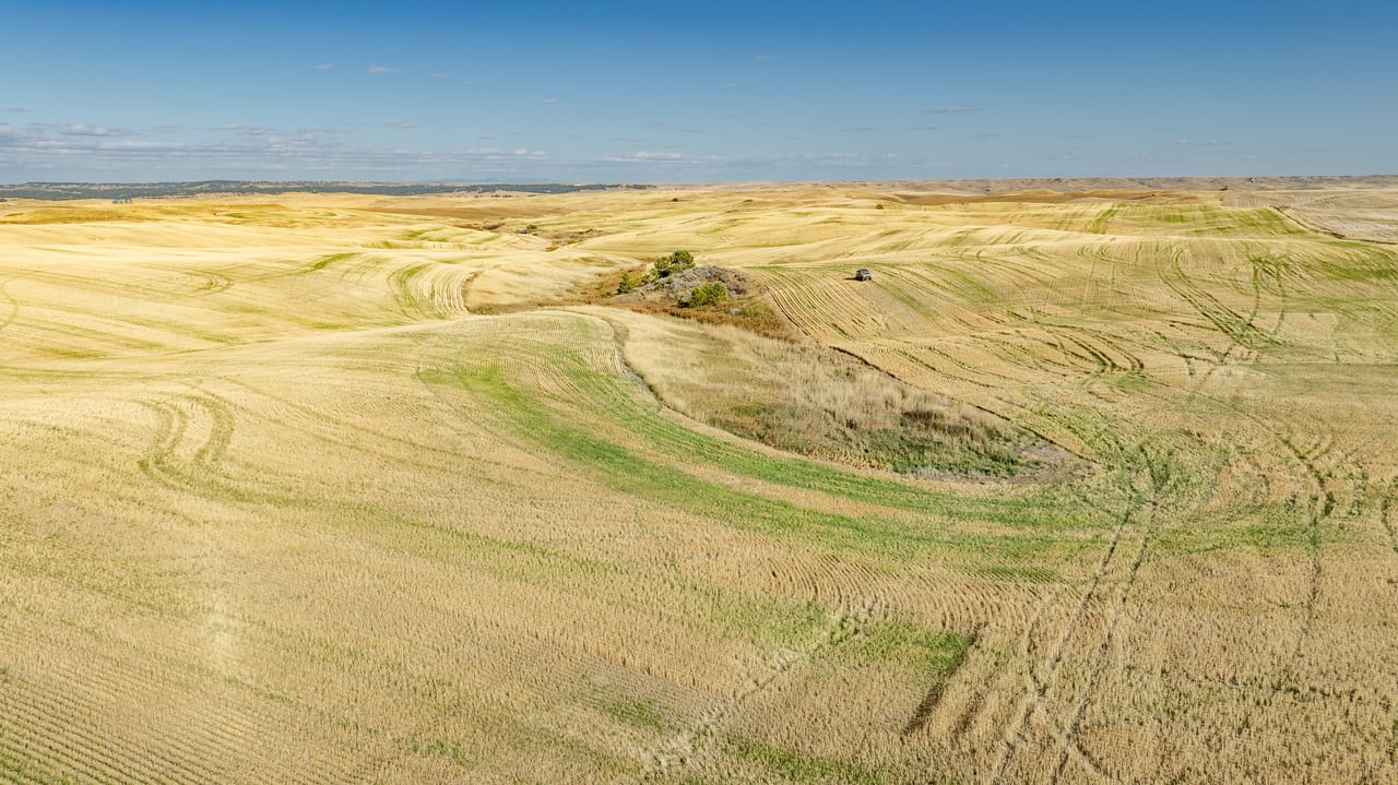 Salt Creek Ranch