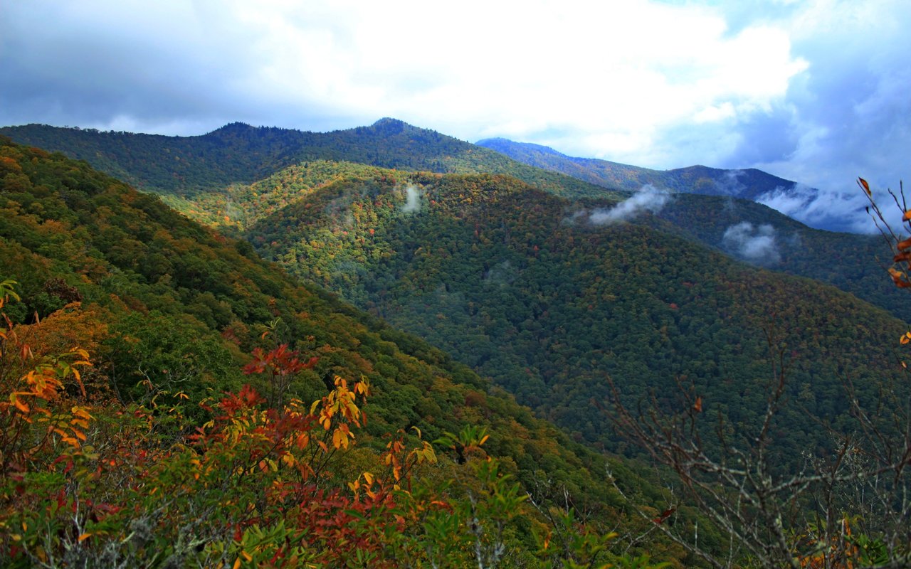 Crozet