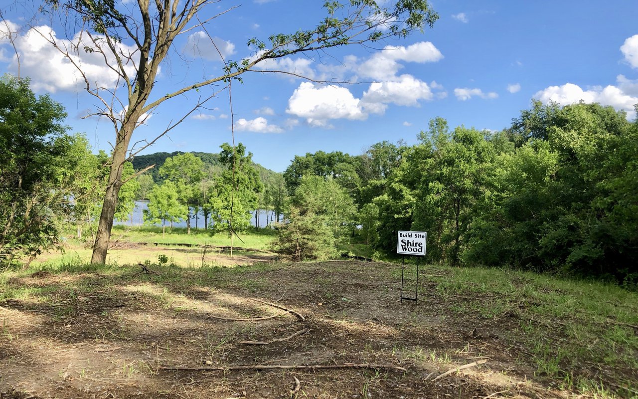 Shire Wood - August Update