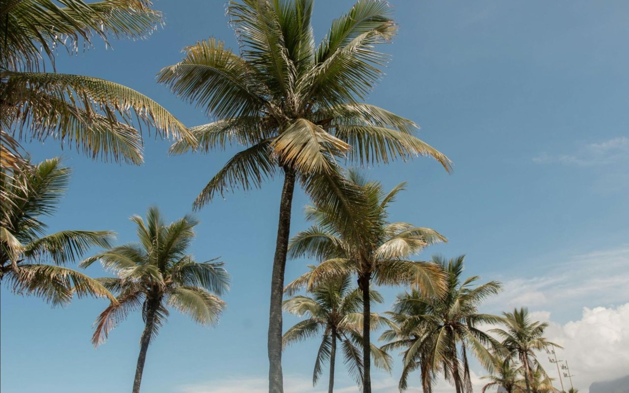 Winter Park, FL Weather: What to Expect Year-Round