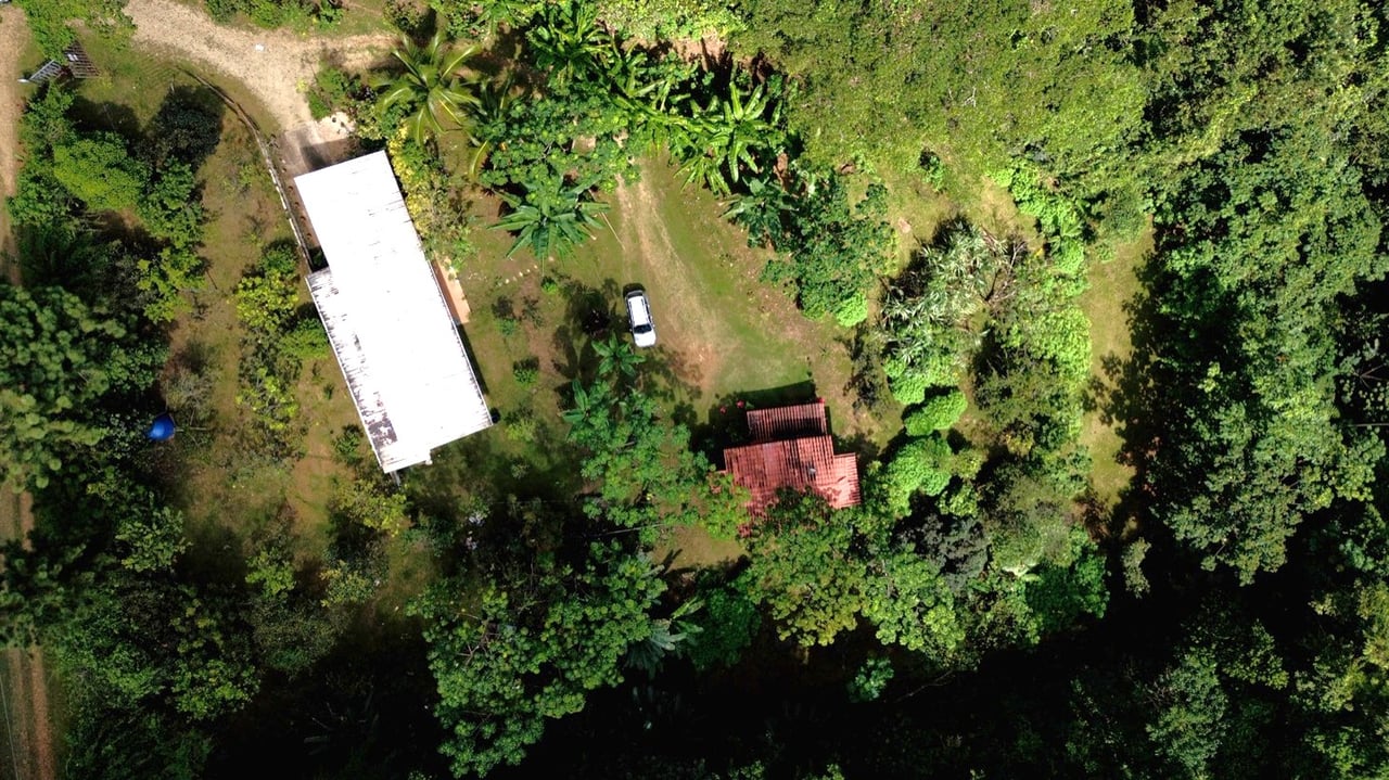 Charming Mountain Retreat with 2 Bedroom Home and Rustic Cabin