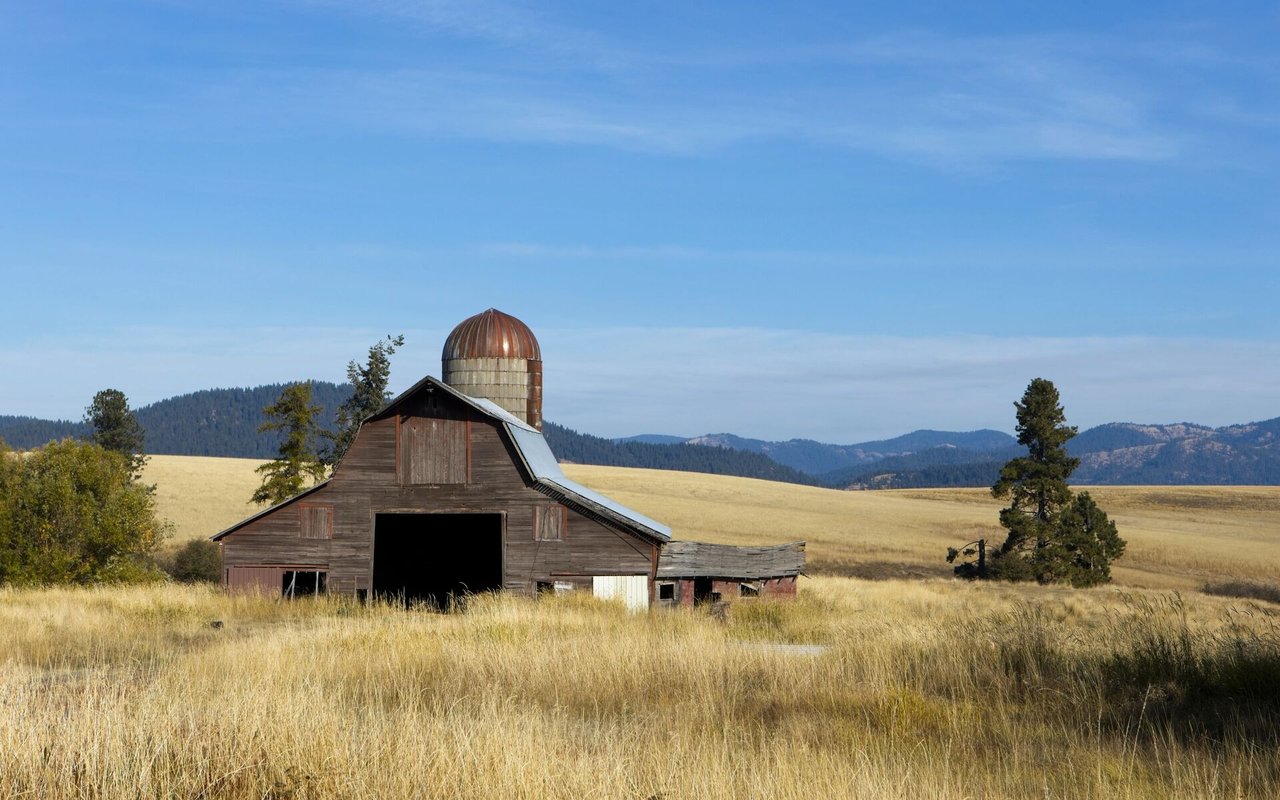 Kiley Ranch