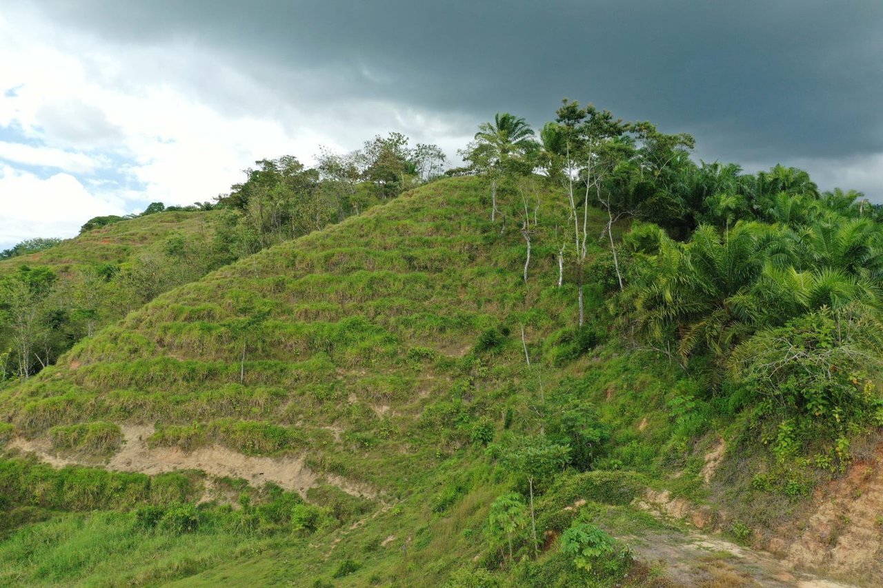 Prime 286-Acre Ocean View Property for Sale Near Quepos, Costa Rica – Ideal for Development