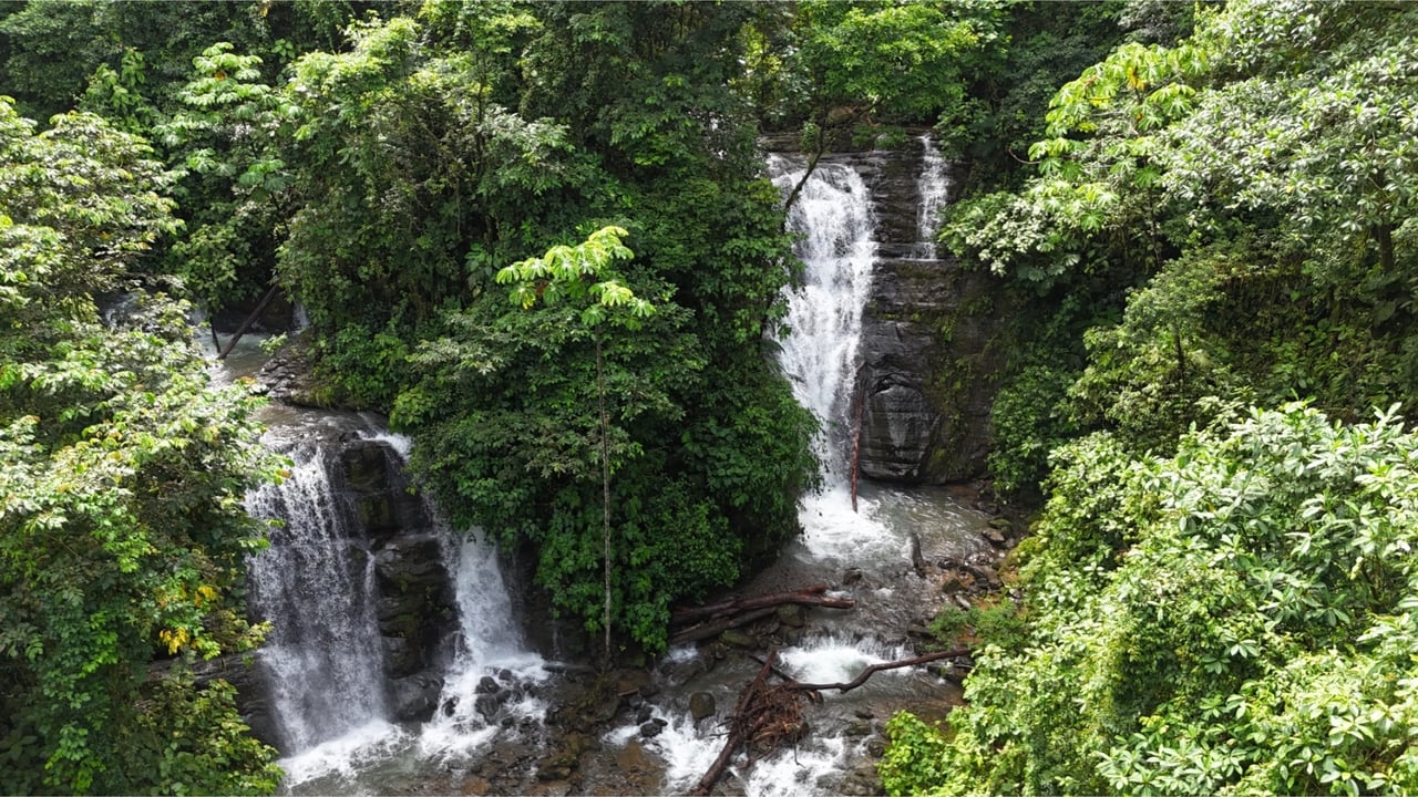 Rainforest Waterfall Acreage Estate, Dominical, Puntarenas