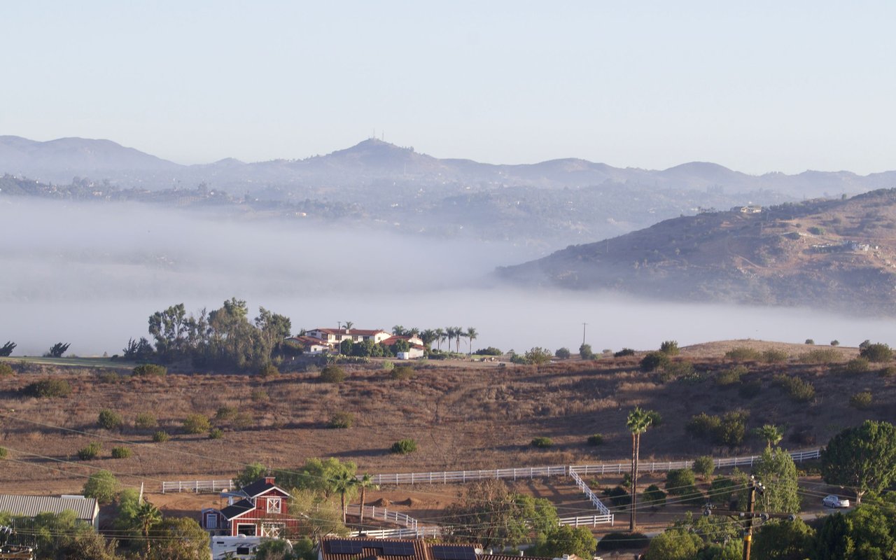 Bonsall