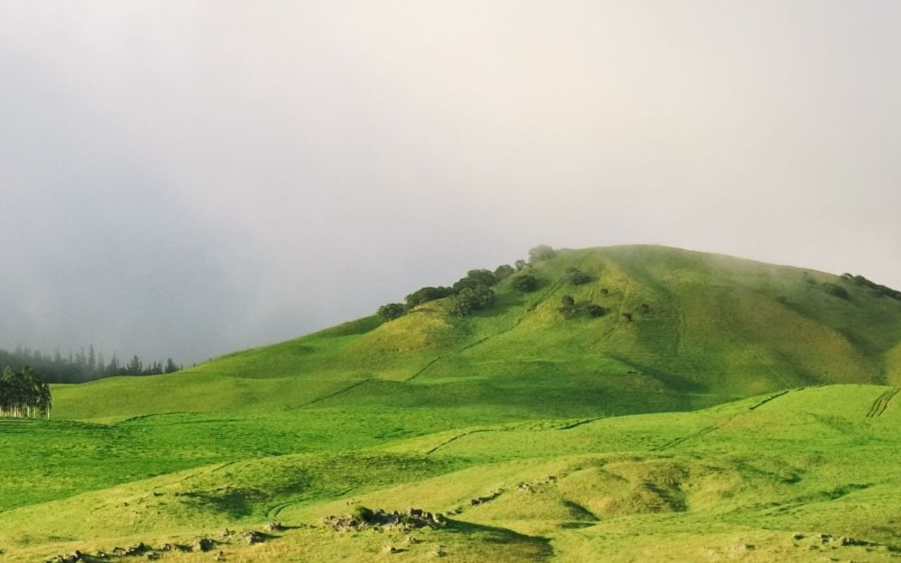 Kamuela