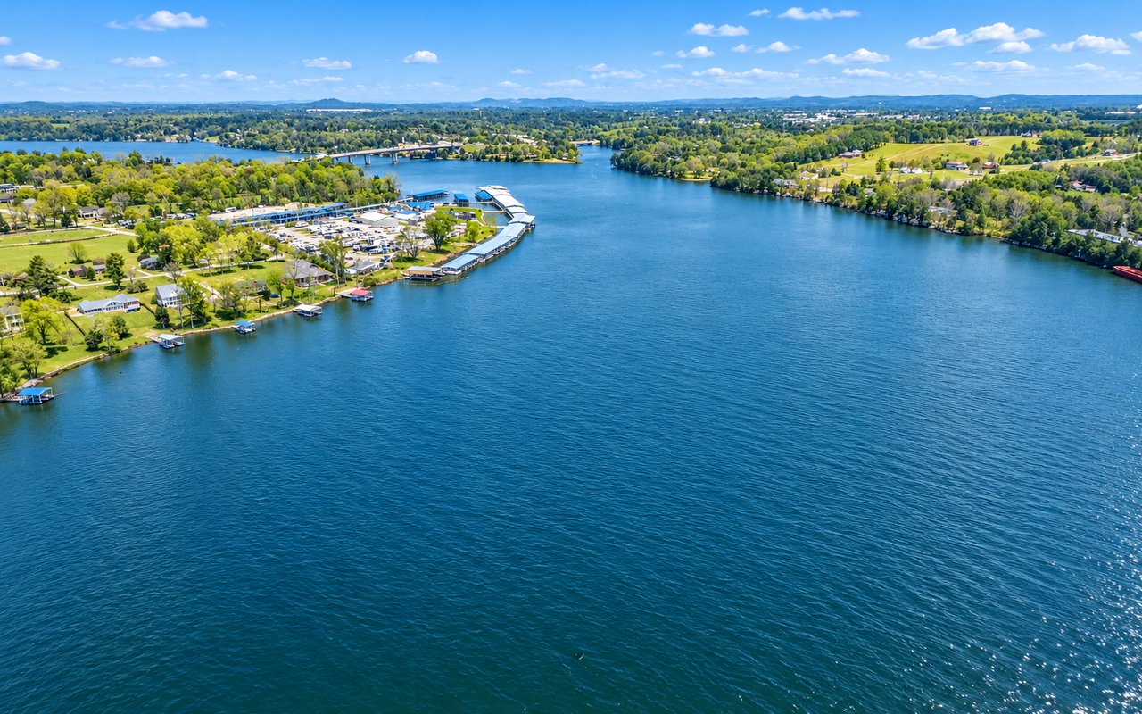 Aerial view across a blue lake toward a marina, wooded shoreline, homes, and a distant bridge.