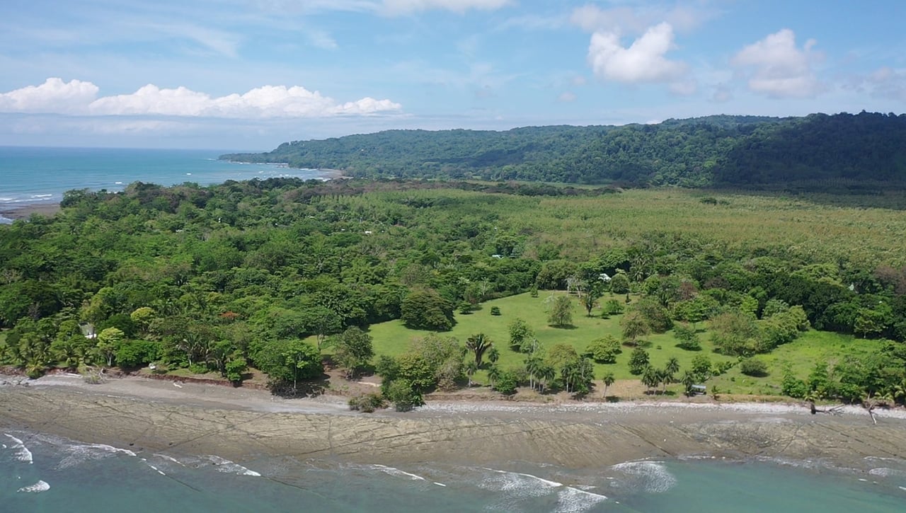 Unveil Your Dream Beachfront Sanctuary in Cabo Matapalo.