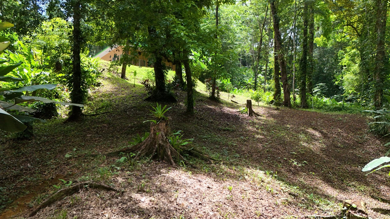 Fire Sale Investment Opportunity in Jardines del Morete | 2 Bed | 2 Bath Home with River Access