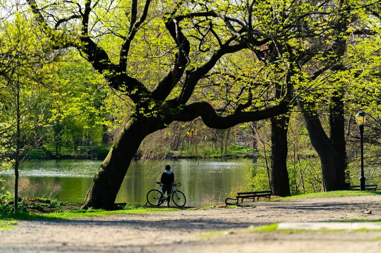The Market Report: June 2025