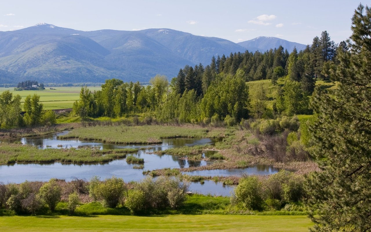 Paradise Valley