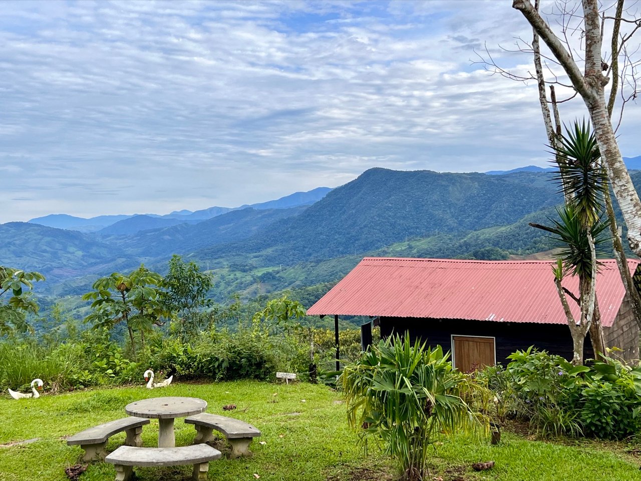 Strategically Located Property with Panoramic Views and Development Potential in Tinamastes