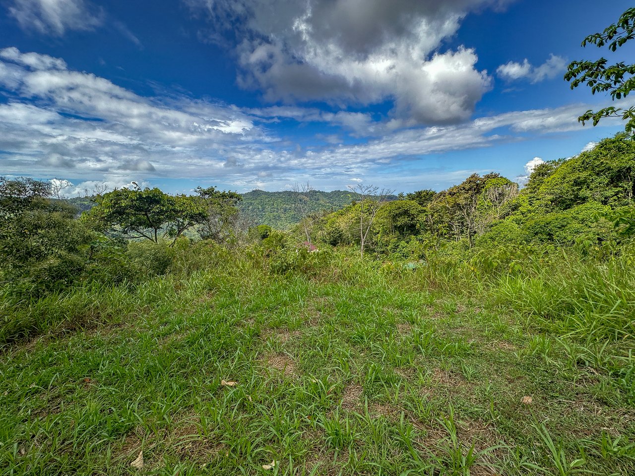 Tinamastes Costa Rica Property with Home, Yoga Deck & Land